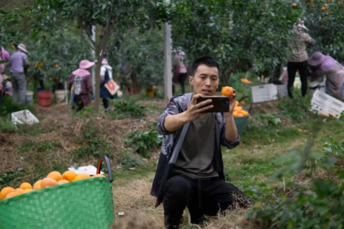 电路维修工具爆款案例_抖音带货一单可以赚多少钱_抖音电工知识带货