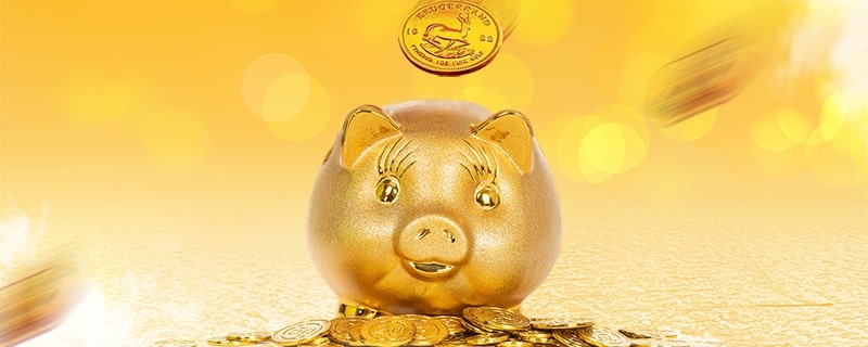 京东直播怎么开通？个人与机构/商家开通条件及费用介绍