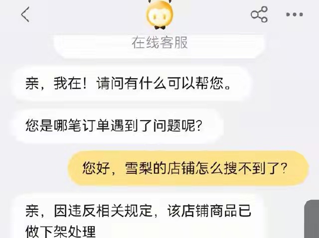 双十二前夕雪梨淘宝店被封登热搜，或因偷逃税被罚？