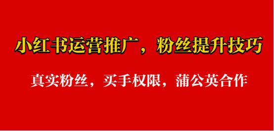 小红书千粉博主报价_小红书博主带货的价格_小红书千粉博主合作预算