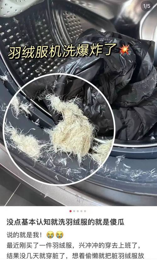 京东达人账号申请指南：羽绒服机洗会爆炸？达人带货需知与避坑攻略