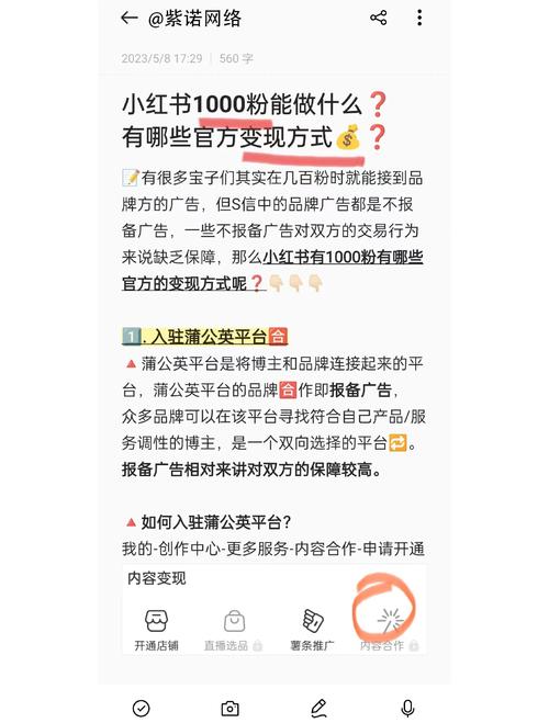 小红书粉丝如何变现？从1000粉到5万粉的进阶指南，揭秘报价与策略