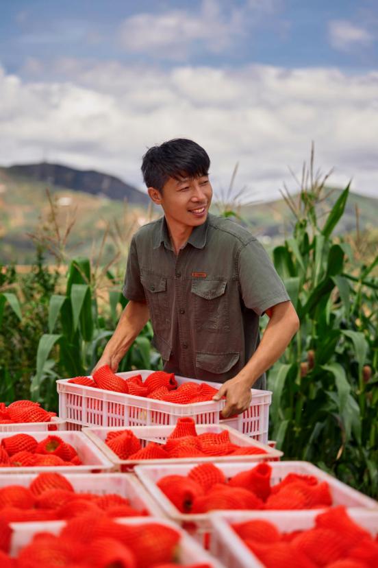 快手达人需要多少粉丝_快手新农人带货直播_沂蒙山区农产品电商销售
