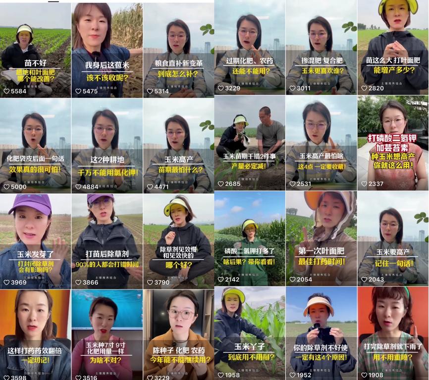 快手三农创作者生态_快手达人需要多少粉丝_西北刀客公益护农案例