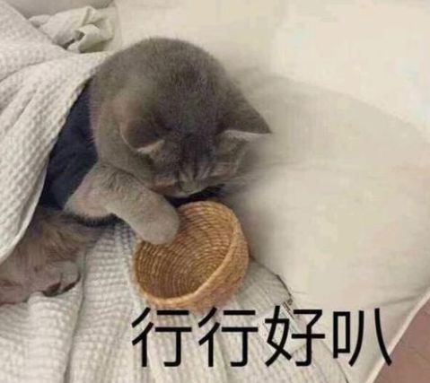 抖音电商新规影响_抖音挂小黄车有什么影响_抖音橱窗实名认证