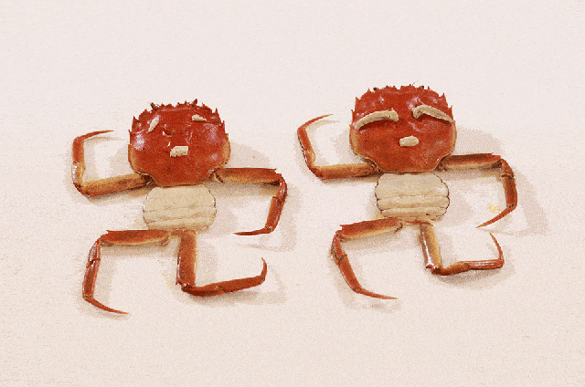 卖大闸蟹微商广告词_阳澄湖大闸蟹正宗产地 购买苏渔品牌蟹卡 阳澄湖大闸蟹协会认证防伪