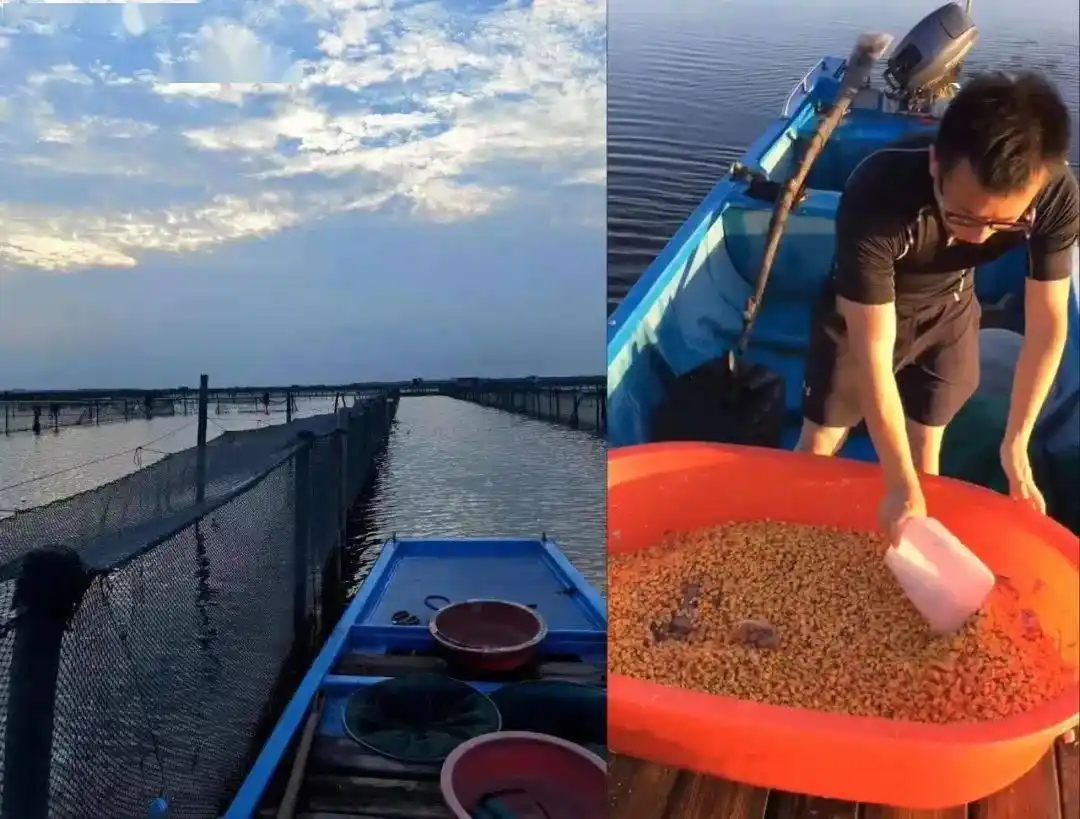 阳澄湖大闸蟹正宗产地 购买苏渔品牌蟹卡 阳澄湖大闸蟹协会认证防伪_卖大闸蟹微商广告词