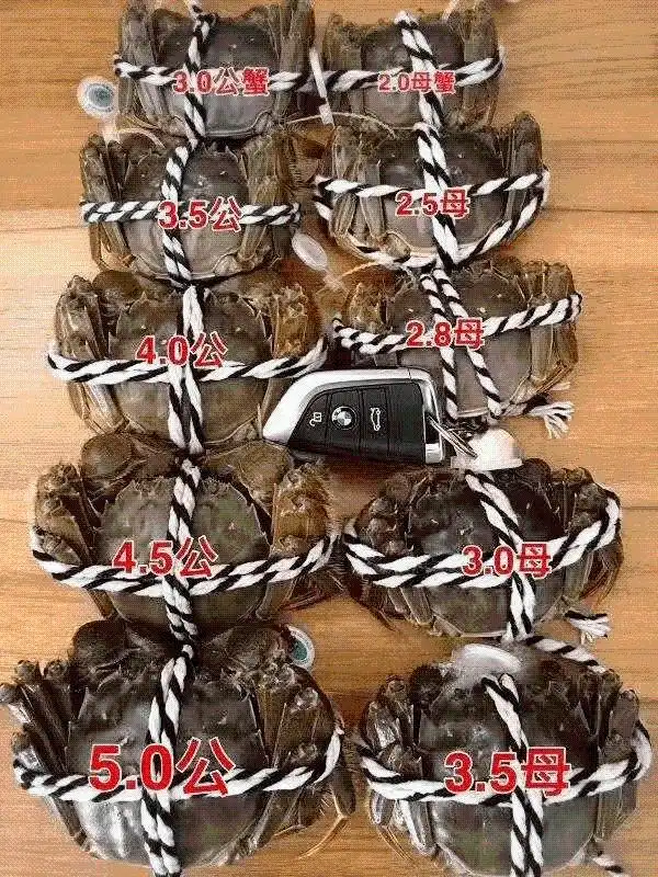 卖大闸蟹微商广告词_阳澄湖大闸蟹正宗产地 购买苏渔品牌蟹卡 阳澄湖大闸蟹协会认证防伪