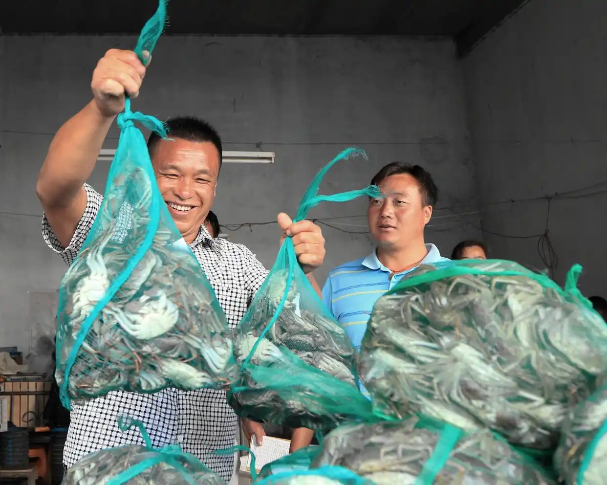 洪泽湖大闸蟹节农旅产品网络营销大赛_卖大闸蟹微商广告词_中国洪泽湖大闸蟹