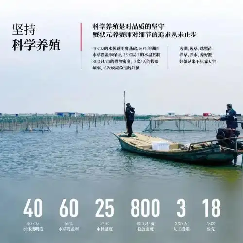 蟹状元十年品牌发展历程_蟹状元大闸蟹品质优势_卖大闸蟹微商广告词