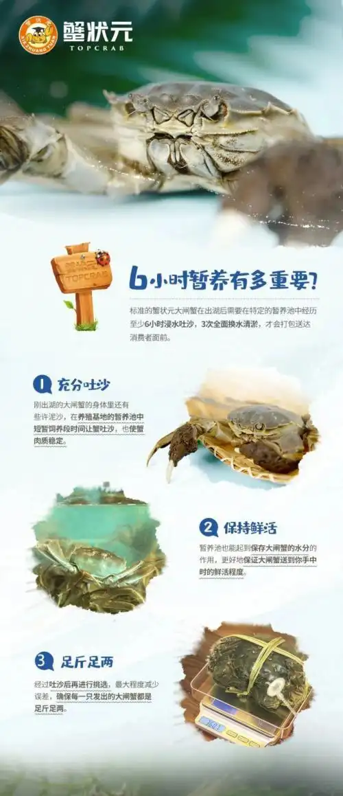 卖大闸蟹微商广告词_蟹状元大闸蟹品质优势_蟹状元十年品牌发展历程