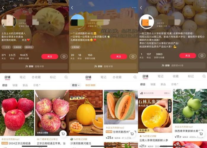 小红书直播带货怎么弄商品_小红书商业闭环流量虹吸_小红书种草电商直播带货