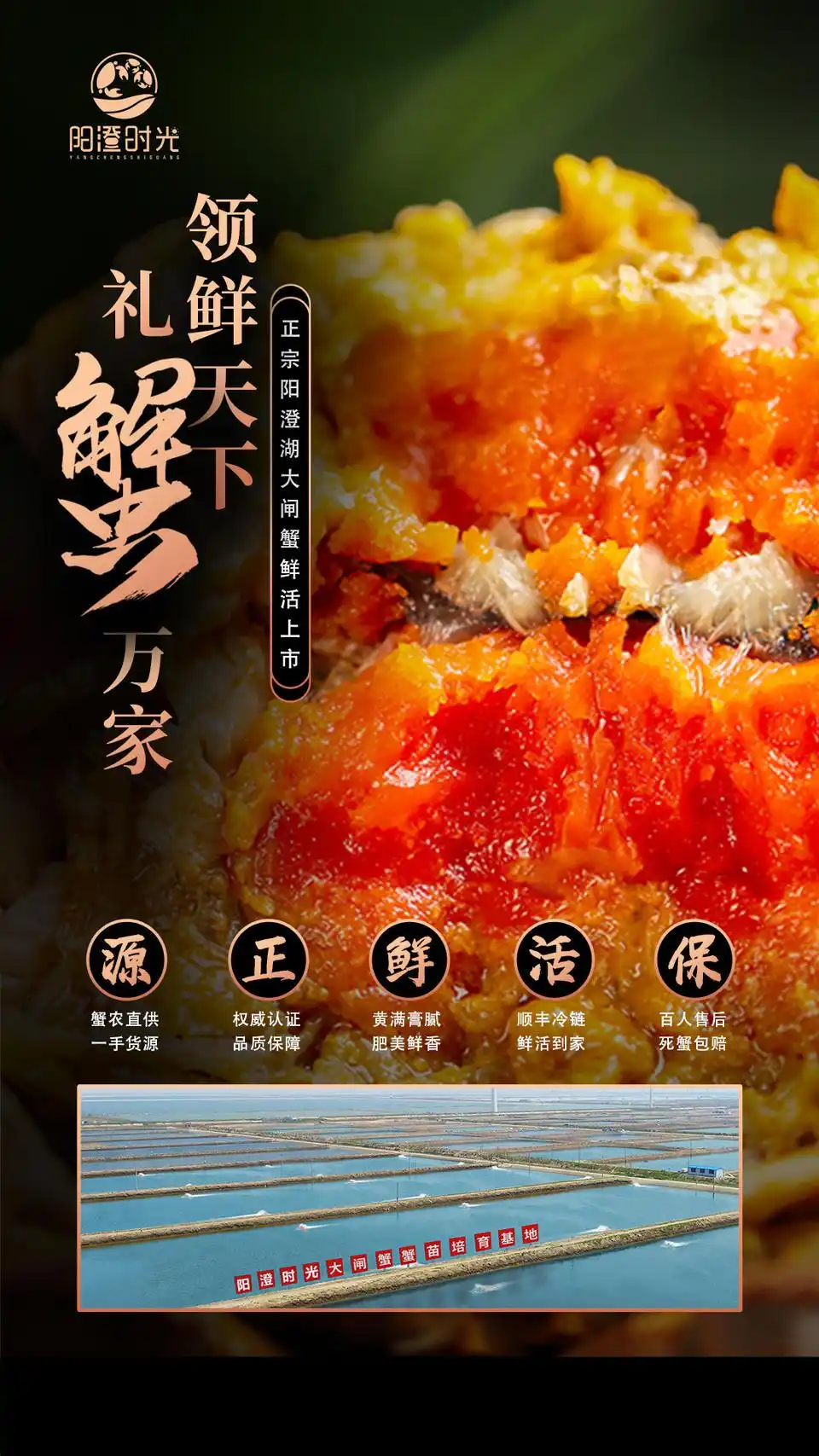 阳澄湖大闸蟹预售_卖大闸蟹微商广告词_阳澄湖大闸蟹礼券团购