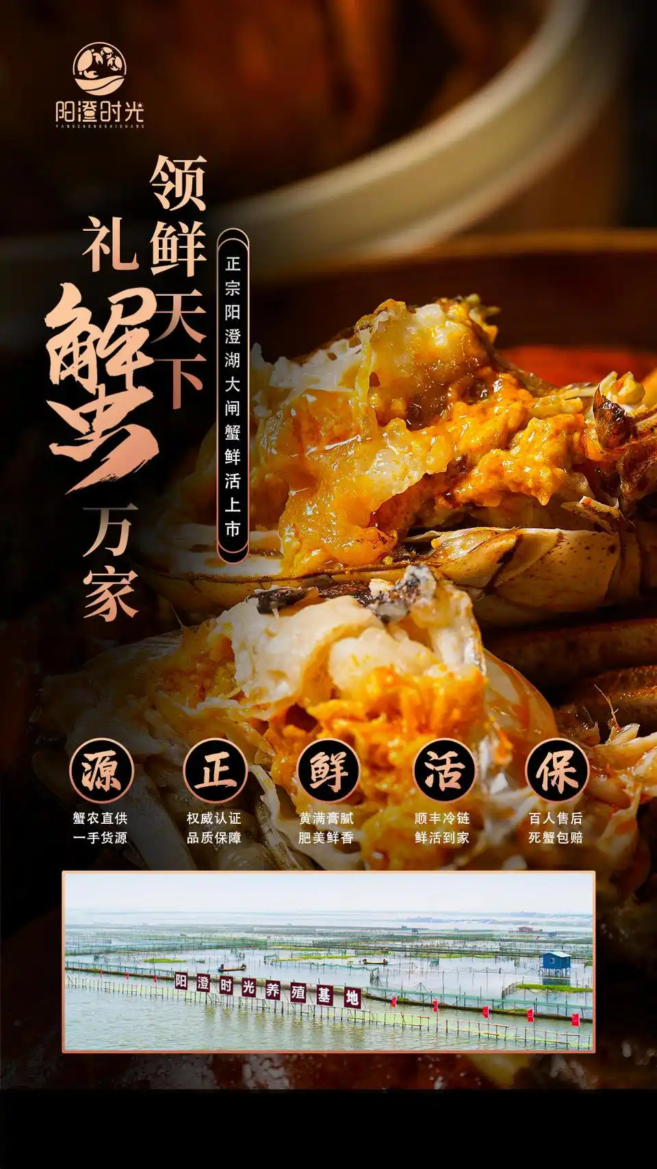 阳澄湖大闸蟹礼券团购_卖大闸蟹微商广告词_阳澄湖大闸蟹预售