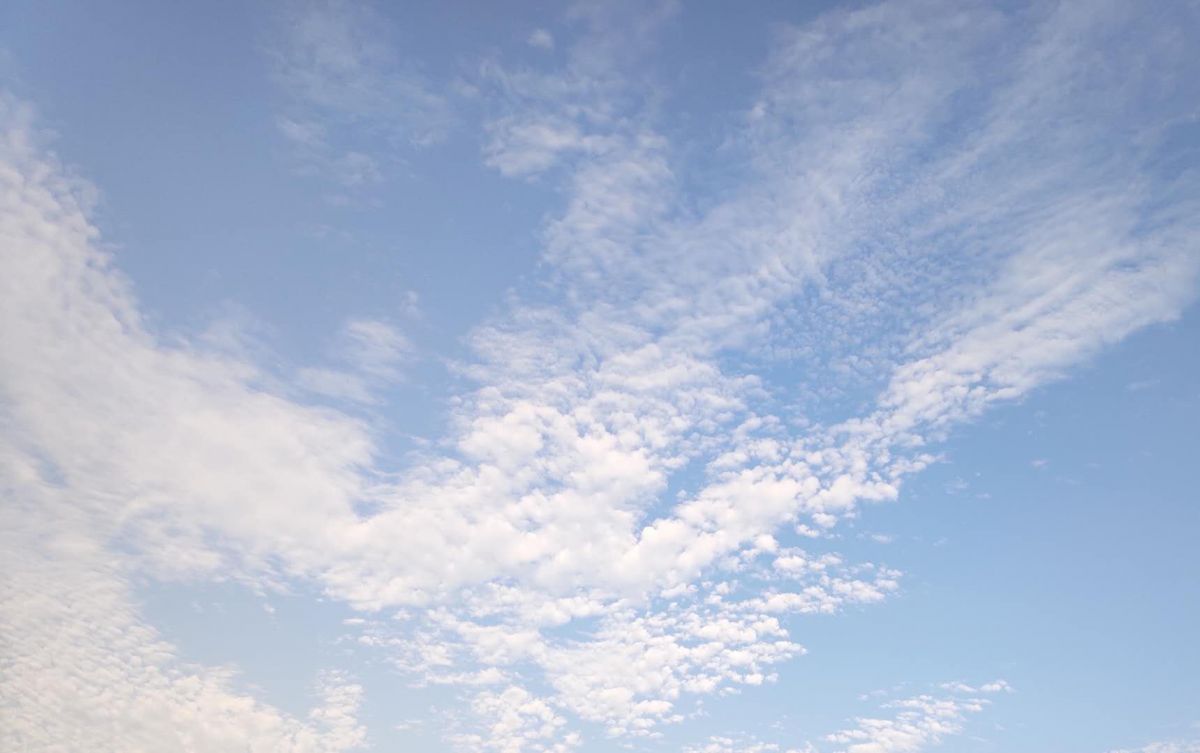 抖音直播挂小黄车条件解析：如何操作不影响流量？官方指南来了