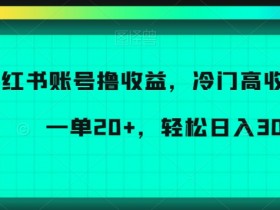小红书带货流程?_精准引流策略_小红书带货核心原理