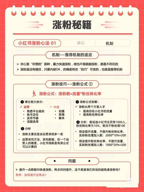 精准引流策略_小红书带货核心原理_小红书带货流程?