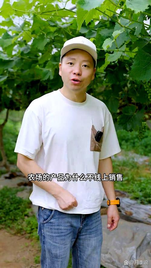 李子柒式网红IP打造策略_抖音如何视频带货_抖音新农人变现路径