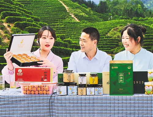 农产品网络销售_直播行业还能走多久_电商直播带货