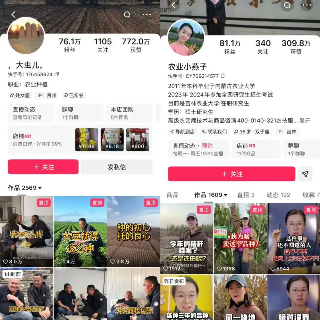 快手带货开通需要什么条件_快手三农创作者生态_西北刀客公益护农案例