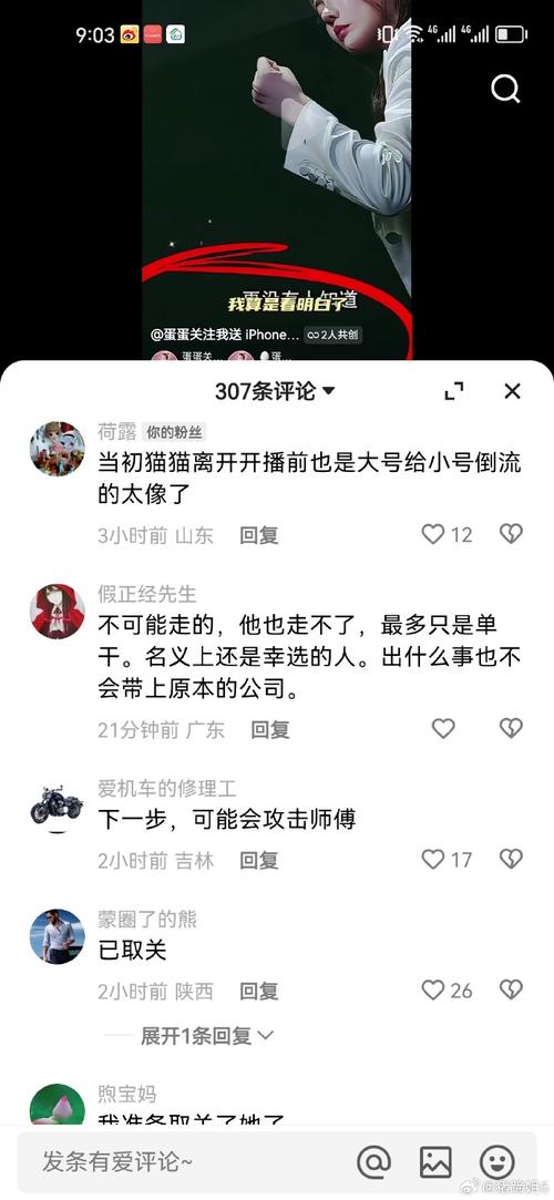 蛋蛋独立创业！从55亿成交额到自立门户，辛巴接班人开启新篇章
