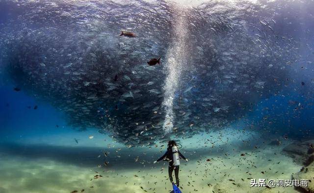 网红合作风险多？商家必看：稳健带货策略全解析