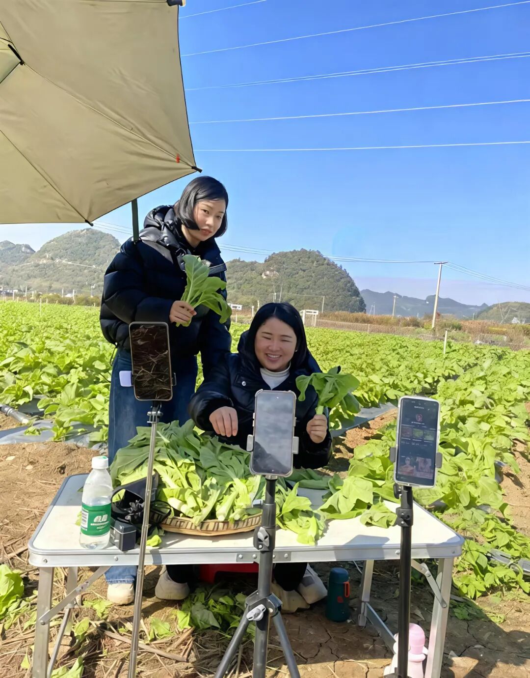 直播间带货流程话术_社区直播带货基地_玉兔社区电商就业