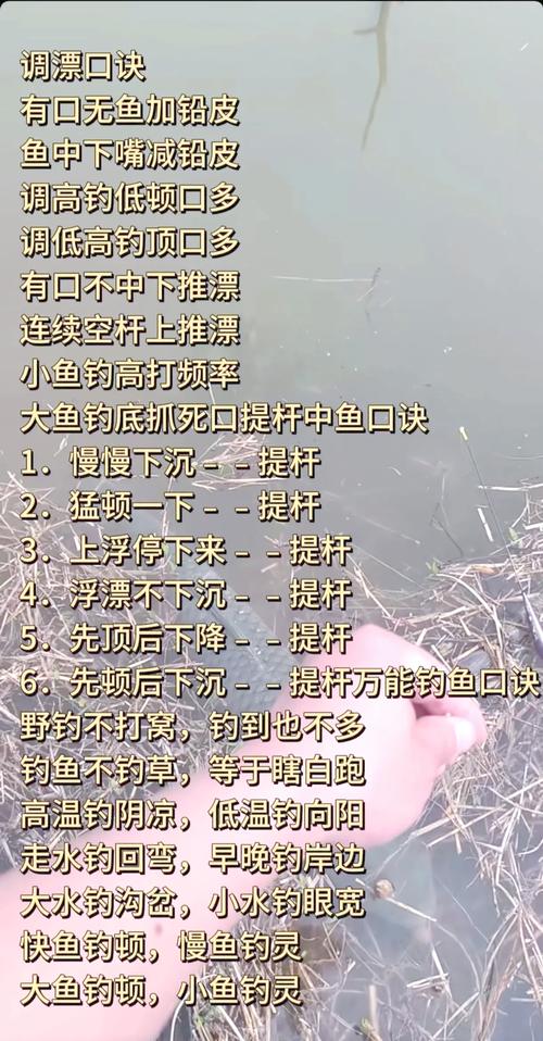 新手如何开直播？掌握这几点，轻松开启你的首次钓鱼直播