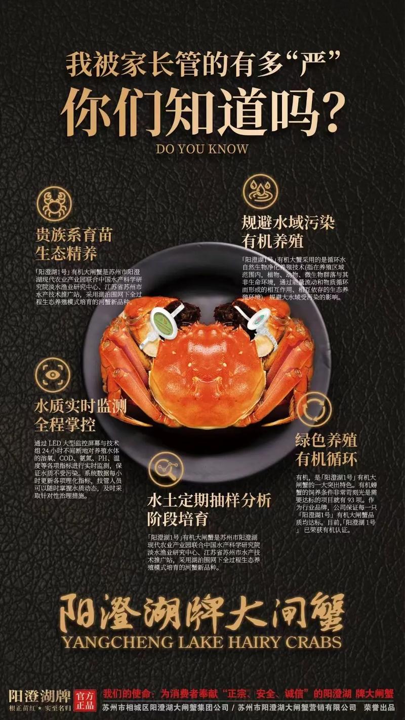 卖大闸蟹微商广告词_阳澄湖大闸蟹礼券团购_阳澄湖大闸蟹预售