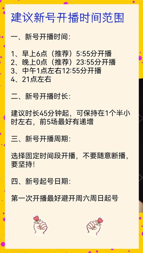新手开直播完整攻略：从定位到开播的详细步骤与避坑指南