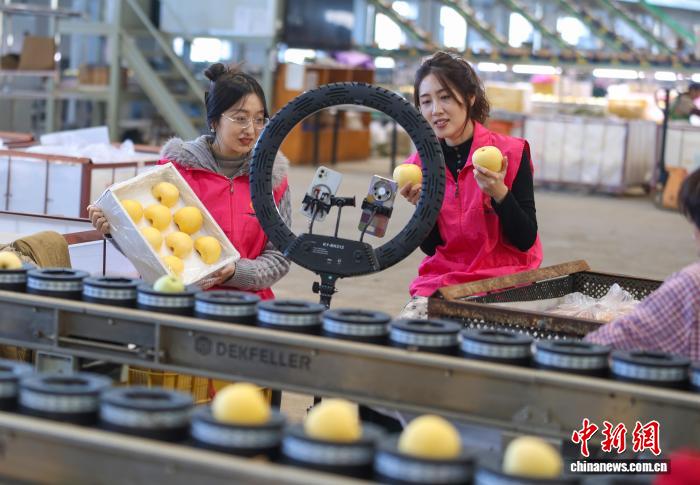 山东荣成女性直播带货_电商直播带货怎么做推广_山东荣成巾帼直播团队