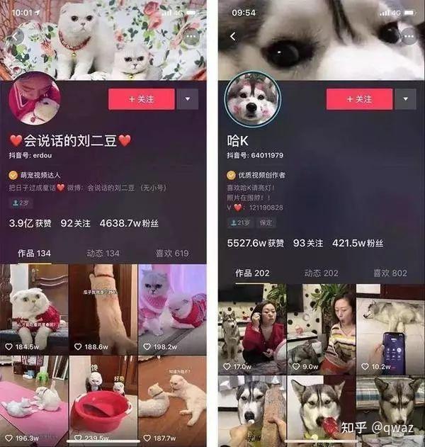 抖音账号背景图设计_抖音带货交税吗_抖音主页视觉营销