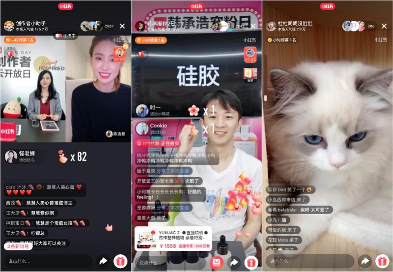 小红书直播带货是什么意思_小红书100亿流量扶持计划_小红书视频创作者扶持计划